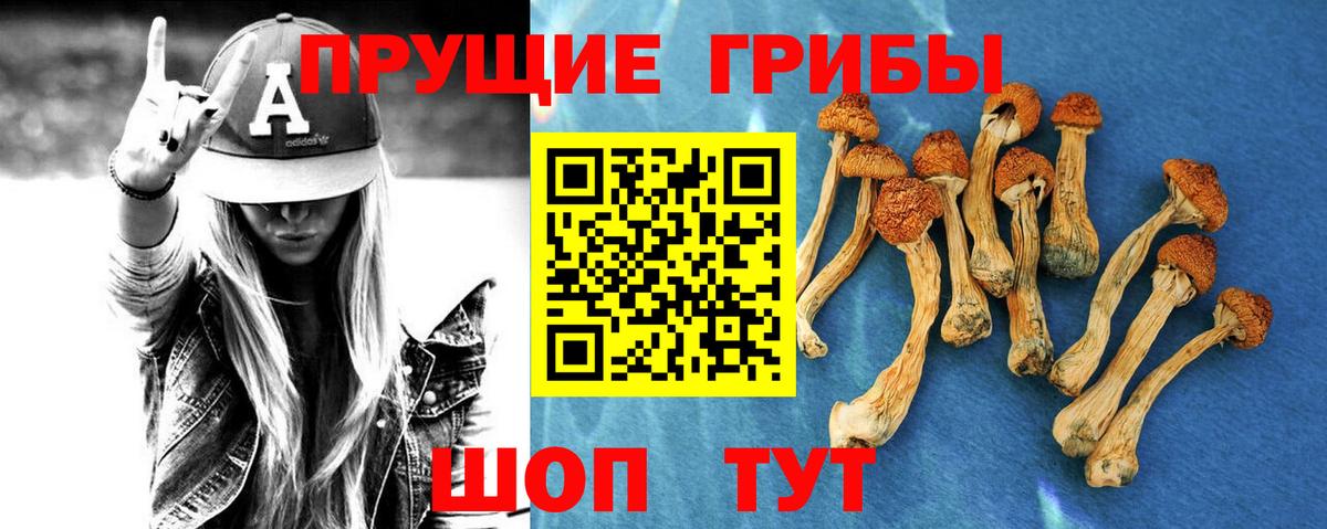 Галлюциногенные грибы мицелий  дарнет шоп  Касимов  Вход с VPN 