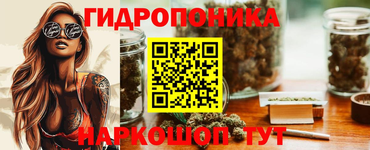 Бошки Шишки семена Касимов